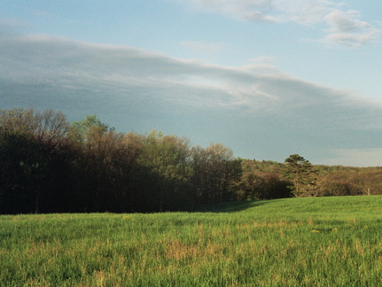 Pasture